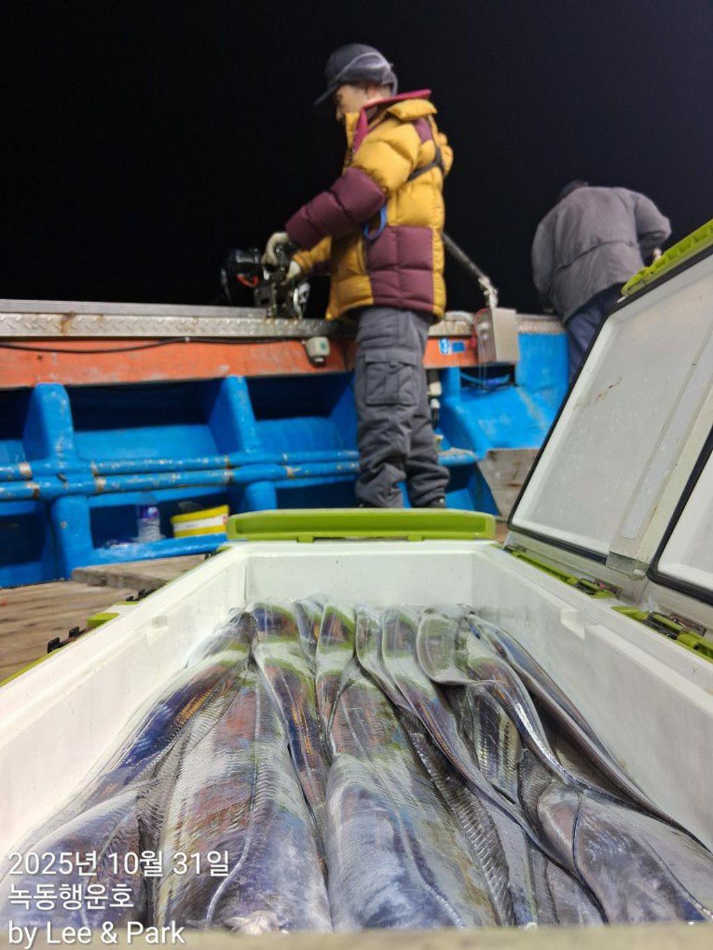 낚시뚜,갈치,녹동항,녹동대성호,낚시뚜17