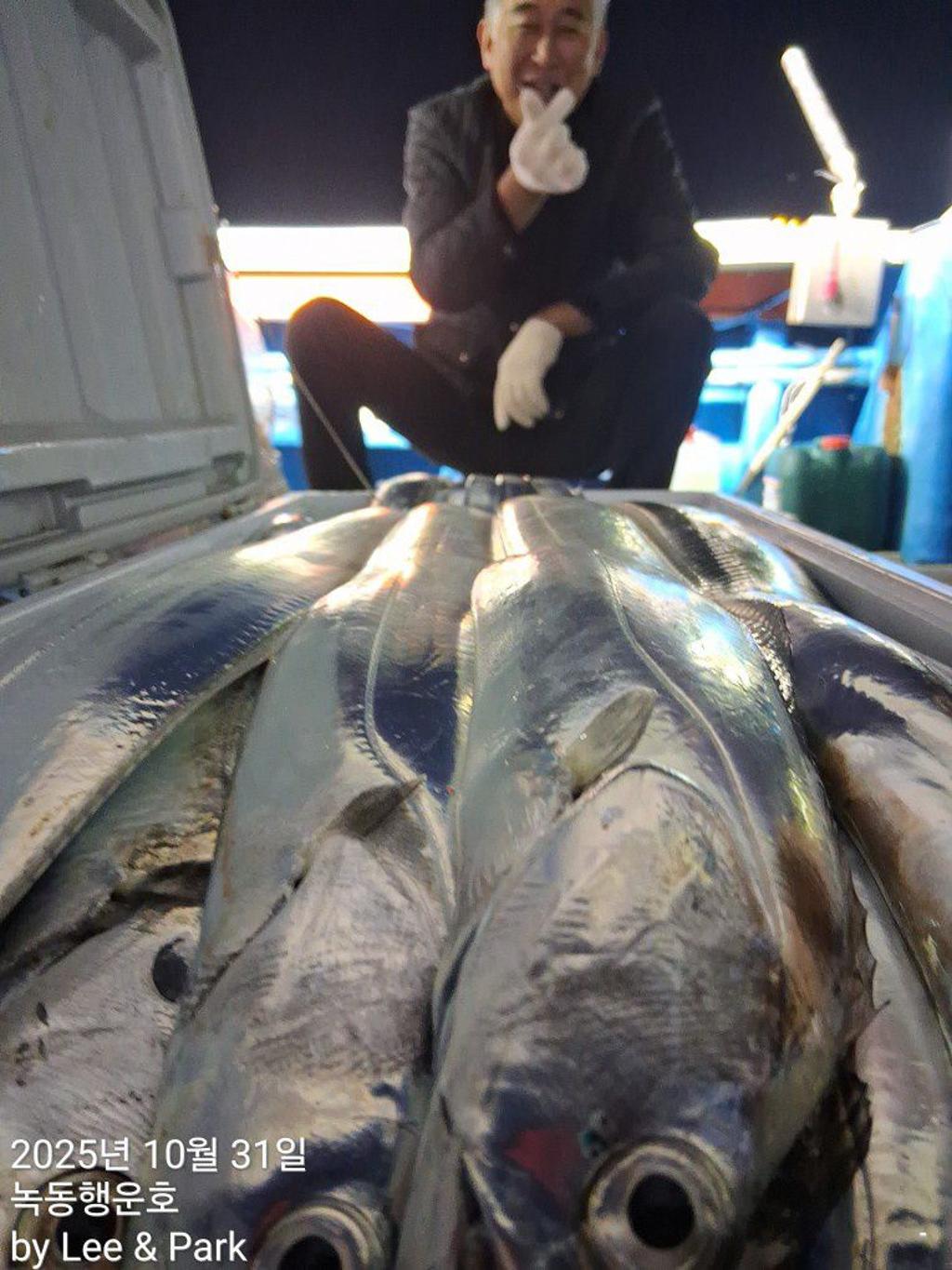 낚시뚜,갈치,녹동항,녹동대성호,낚시뚜14