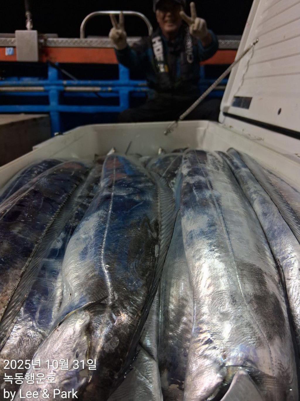 낚시뚜,갈치,녹동항,녹동대성호,낚시뚜13