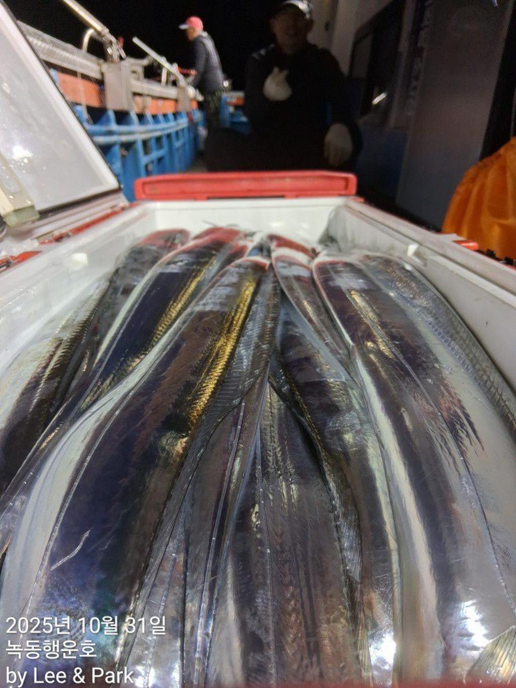 낚시뚜,갈치,녹동항,녹동대성호,낚시뚜12