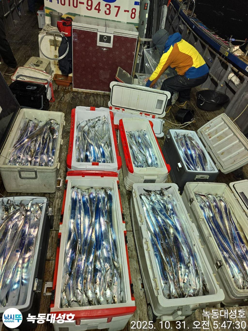 낚시뚜,갈치,녹동항,녹동대성호,낚시뚜8