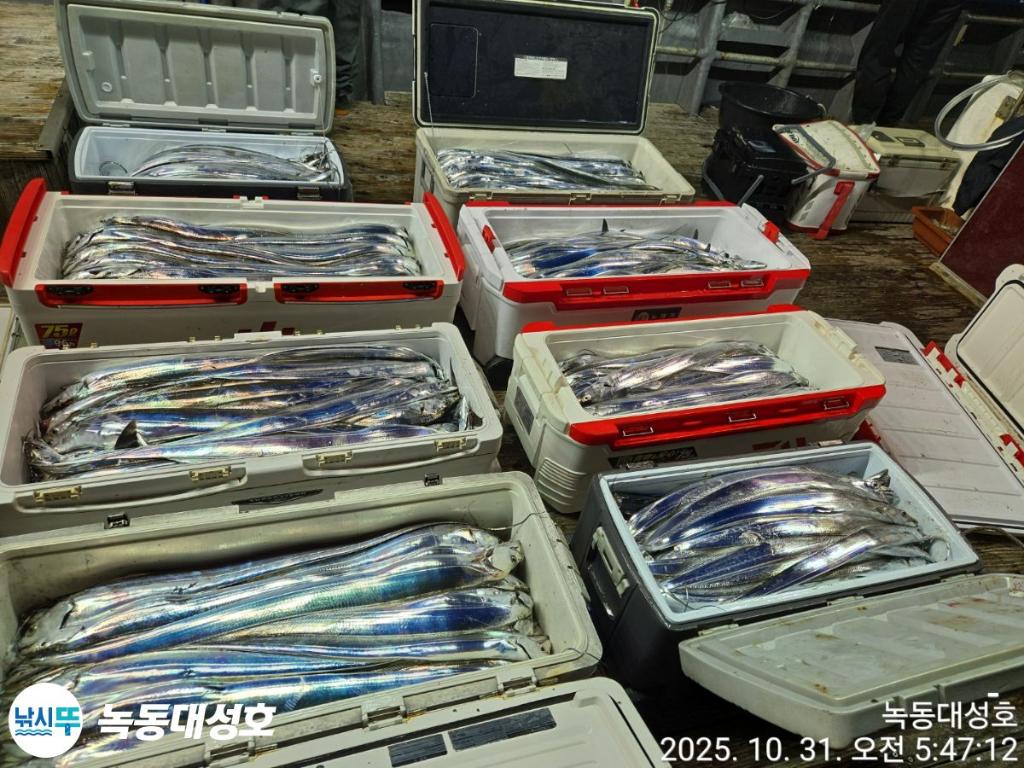 낚시뚜,갈치,녹동항,녹동대성호,낚시뚜6