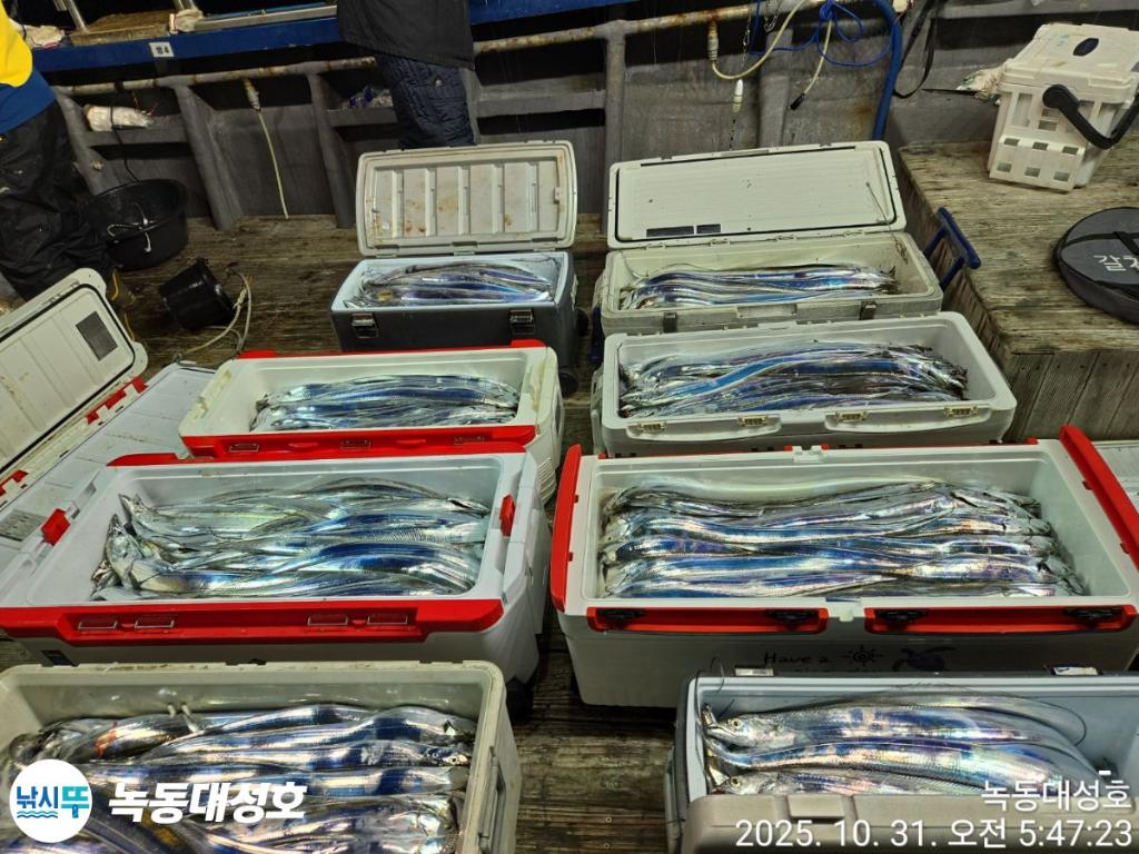 낚시뚜,갈치,녹동항,녹동대성호,낚시뚜5