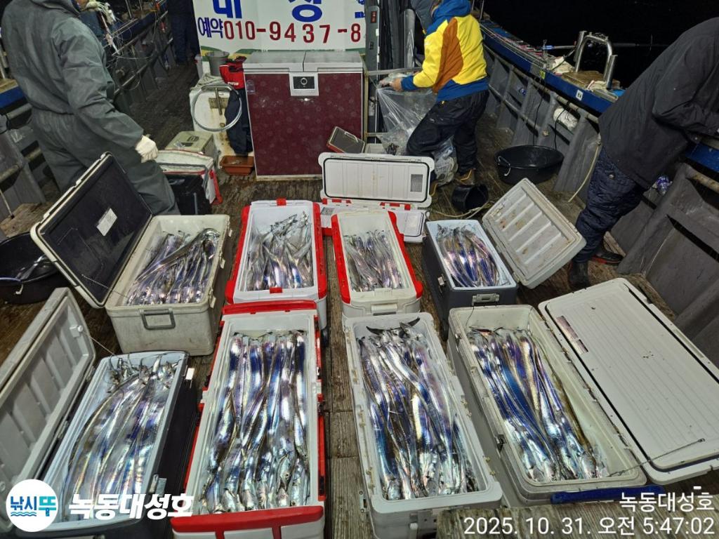 낚시뚜,갈치,녹동항,녹동대성호,낚시뚜4