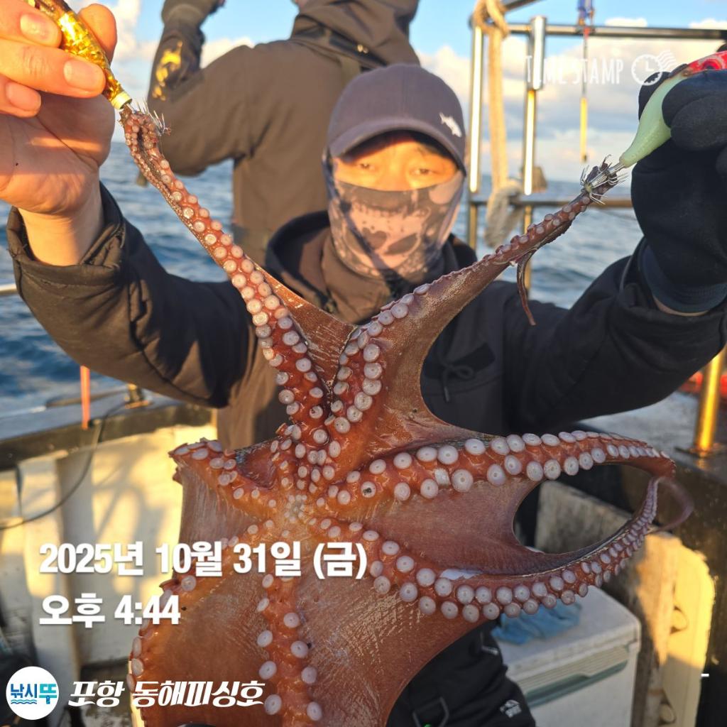 낚시뚜,돌문어,포항(운하관),포항 동해피싱호,낚시뚜15