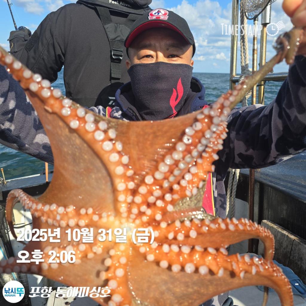 낚시뚜,돌문어,포항(운하관),포항 동해피싱호,낚시뚜14