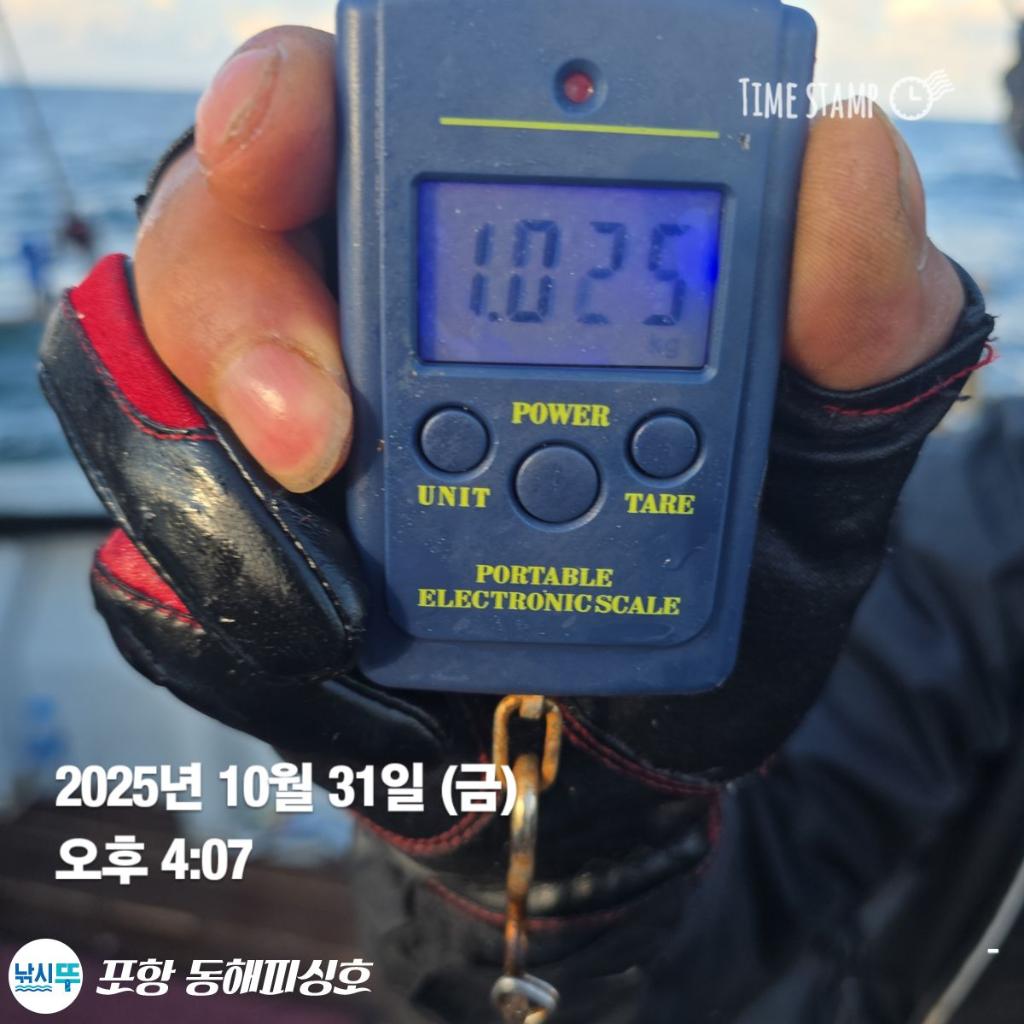 낚시뚜,돌문어,포항(운하관),포항 동해피싱호,낚시뚜12