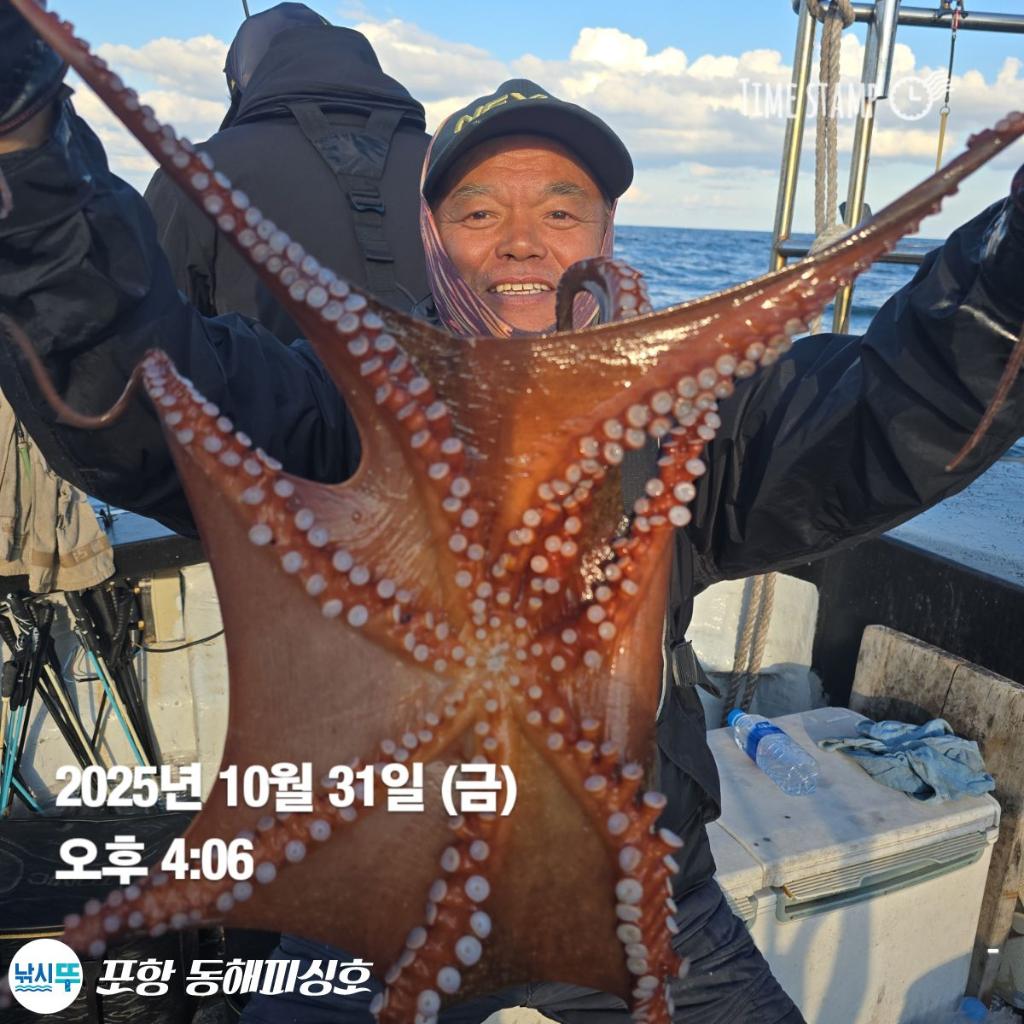 낚시뚜,돌문어,포항(운하관),포항 동해피싱호,낚시뚜11