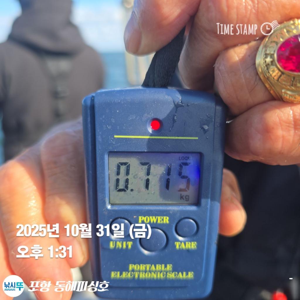낚시뚜,돌문어,포항(운하관),포항 동해피싱호,낚시뚜10