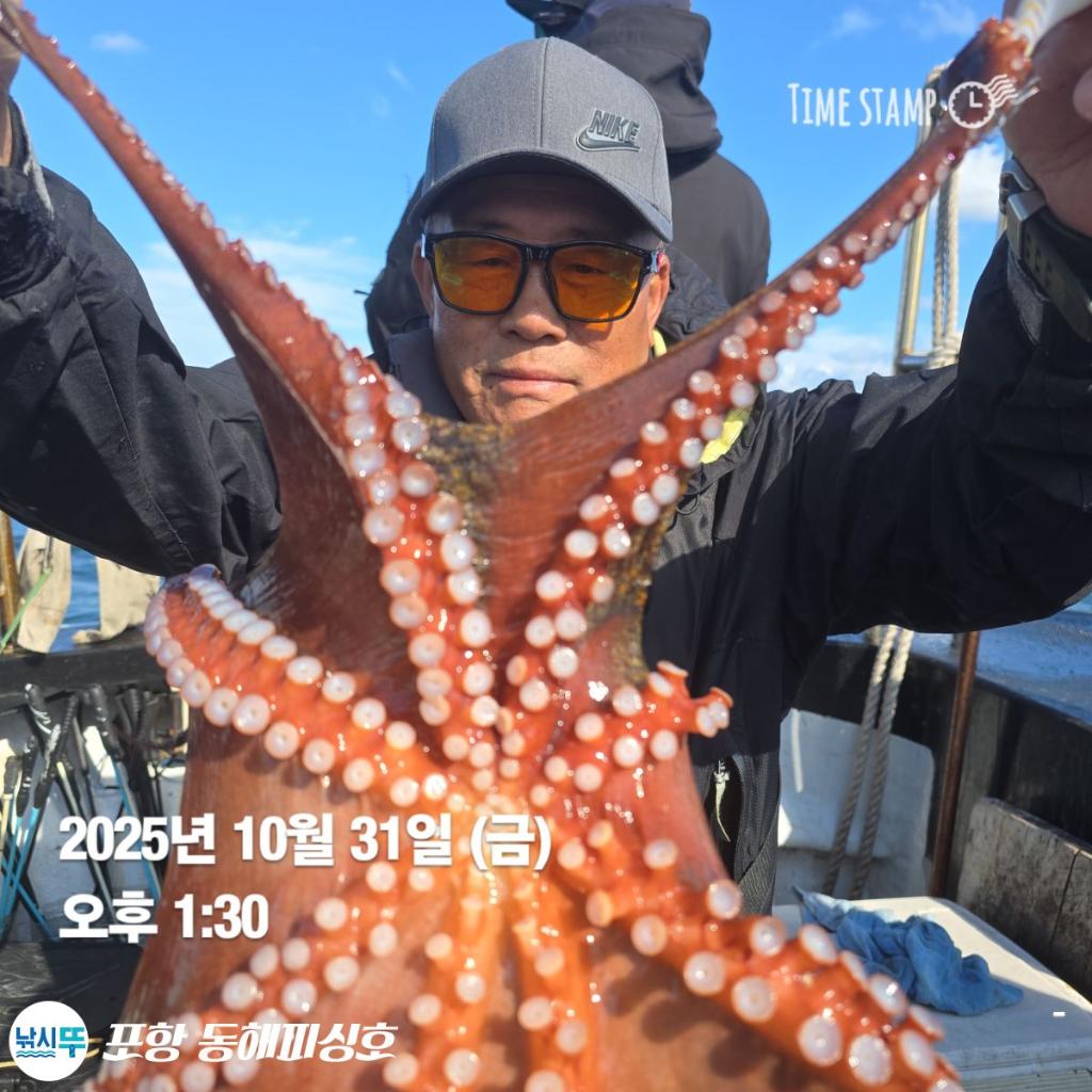 낚시뚜,돌문어,포항(운하관),포항 동해피싱호,낚시뚜9