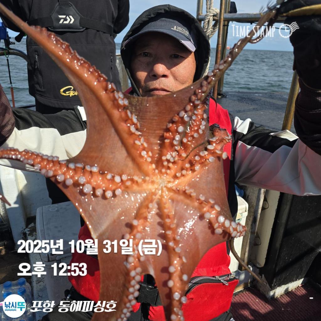 낚시뚜,돌문어,포항(운하관),포항 동해피싱호,낚시뚜6