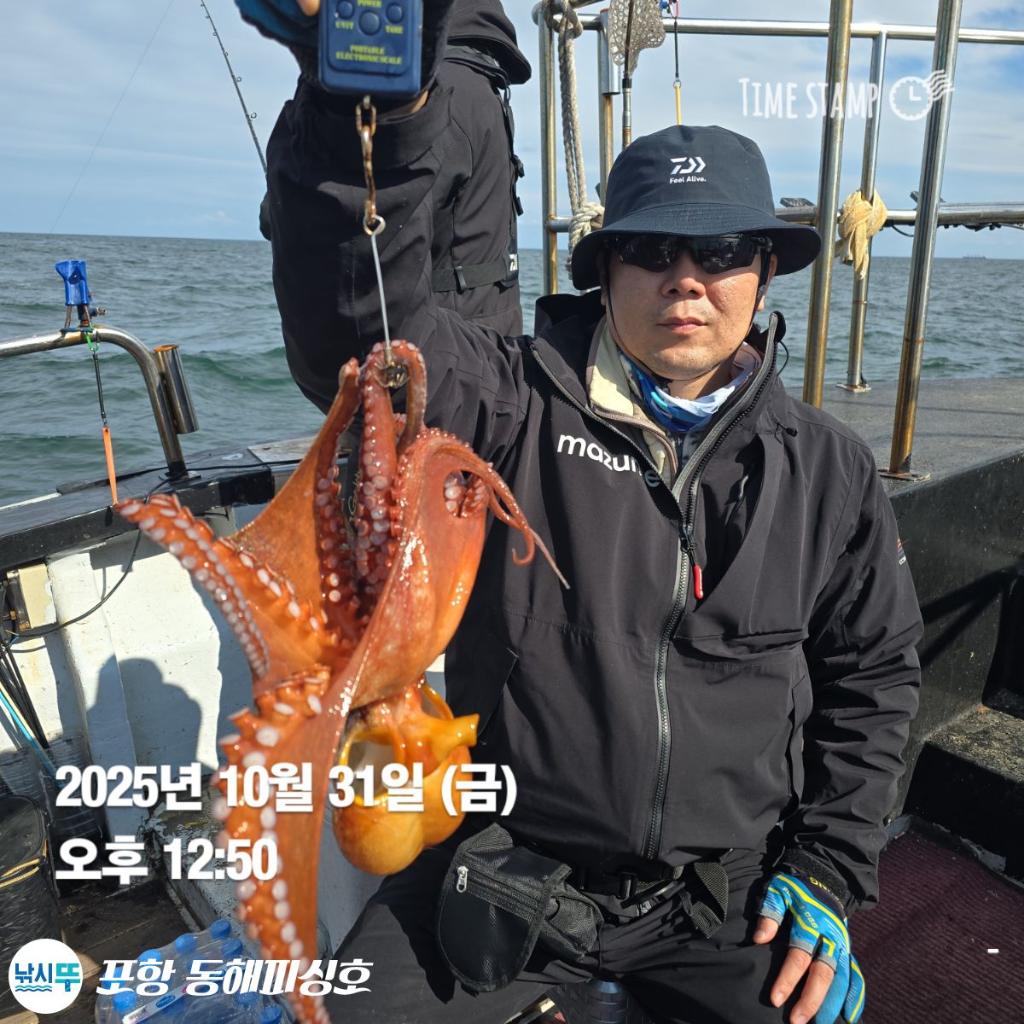 낚시뚜,돌문어,포항(운하관),포항 동해피싱호,낚시뚜5