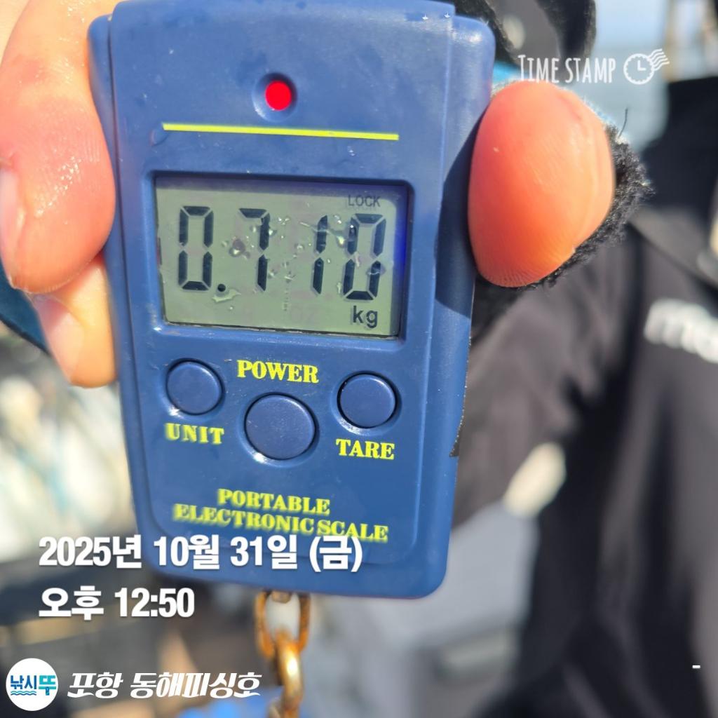 낚시뚜,돌문어,포항(운하관),포항 동해피싱호,낚시뚜4