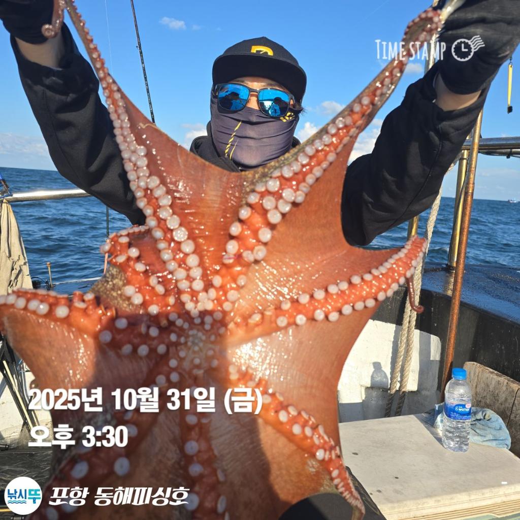 낚시뚜,돌문어,포항(운하관),포항 동해피싱호,낚시뚜0