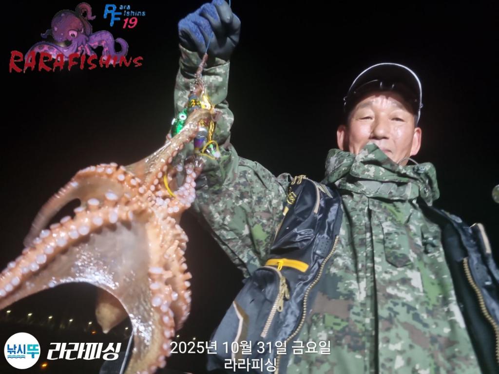 낚시뚜,돌문어,속천항(진해),라라피싱,낚시뚜6