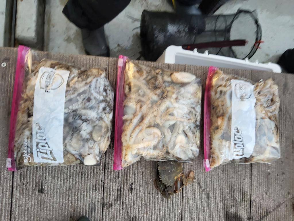 낚시뚜,쭈꾸미,오천항,푸르러호(뉴해양호),낚시뚜2