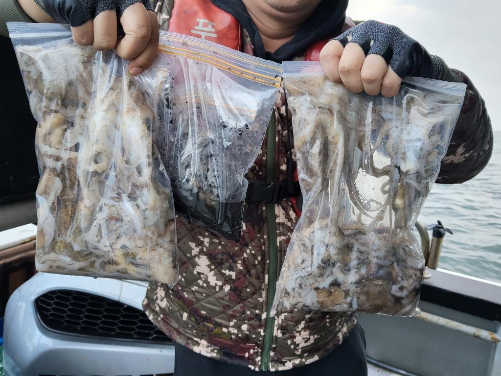 낚시뚜,쭈꾸미,오천항,푸르러호(뉴해양호),낚시뚜6