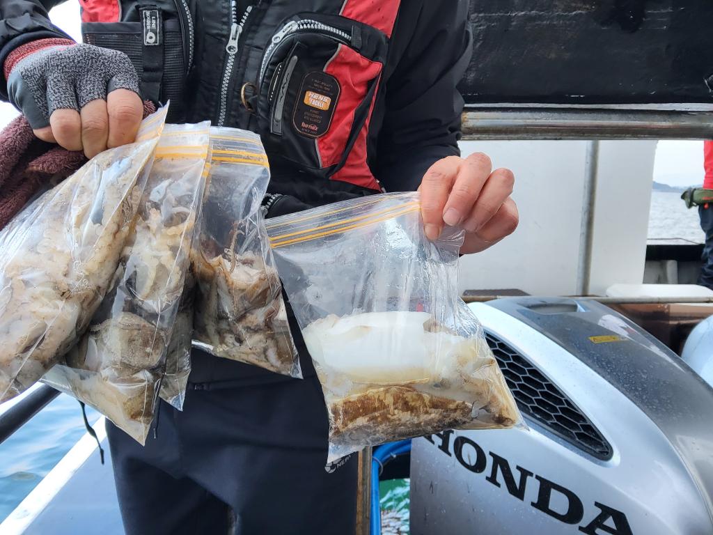 낚시뚜,쭈꾸미,오천항,푸르러호(뉴해양호),낚시뚜7