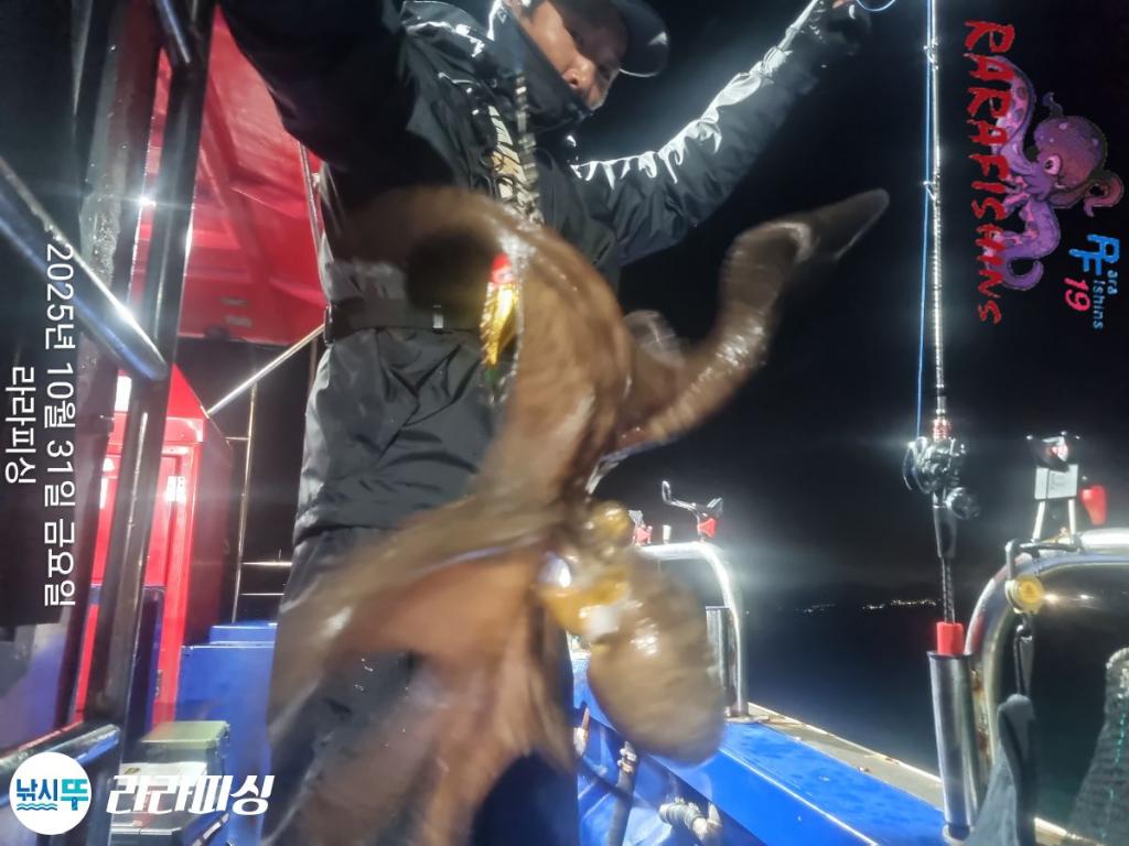 낚시뚜,돌문어,속천항(진해),라라피싱,낚시뚜11