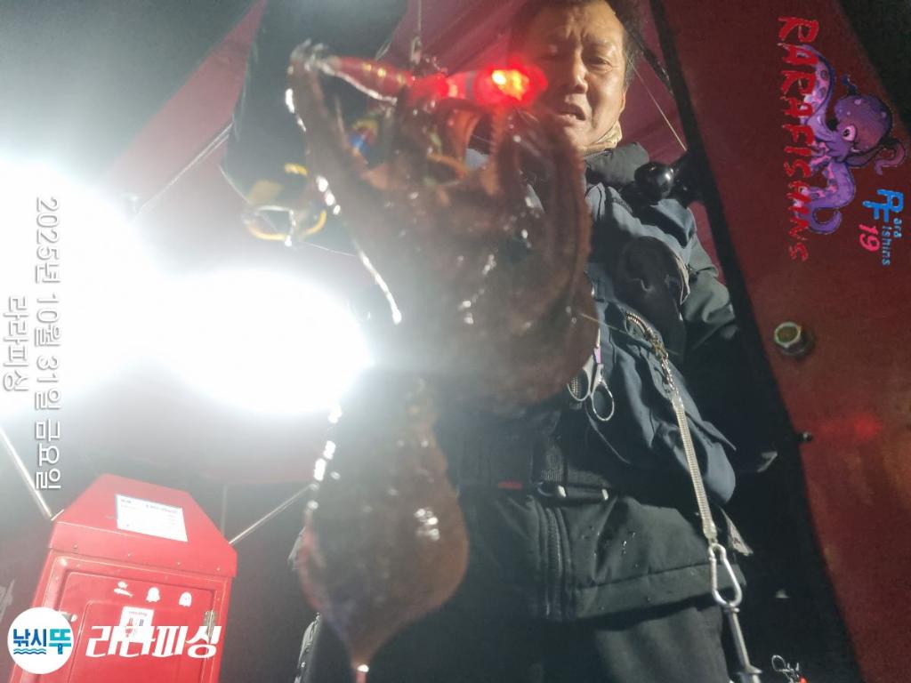 낚시뚜,돌문어,속천항(진해),라라피싱,낚시뚜10