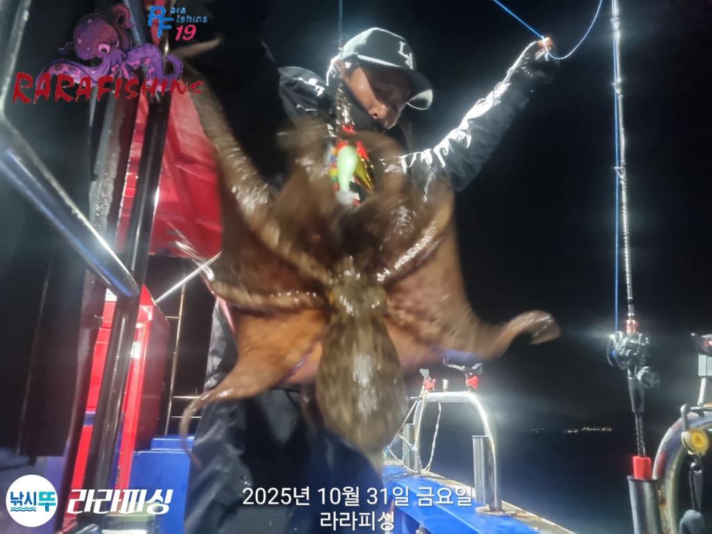 낚시뚜,돌문어,속천항(진해),라라피싱,낚시뚜8