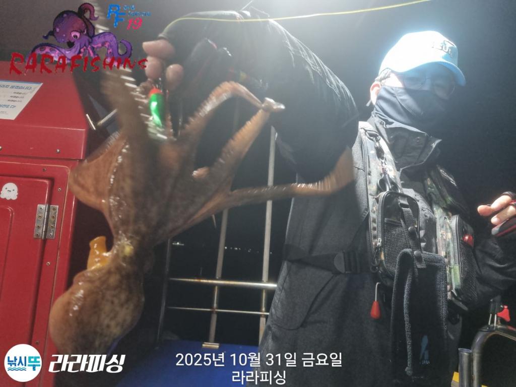 낚시뚜,돌문어,속천항(진해),라라피싱,낚시뚜7