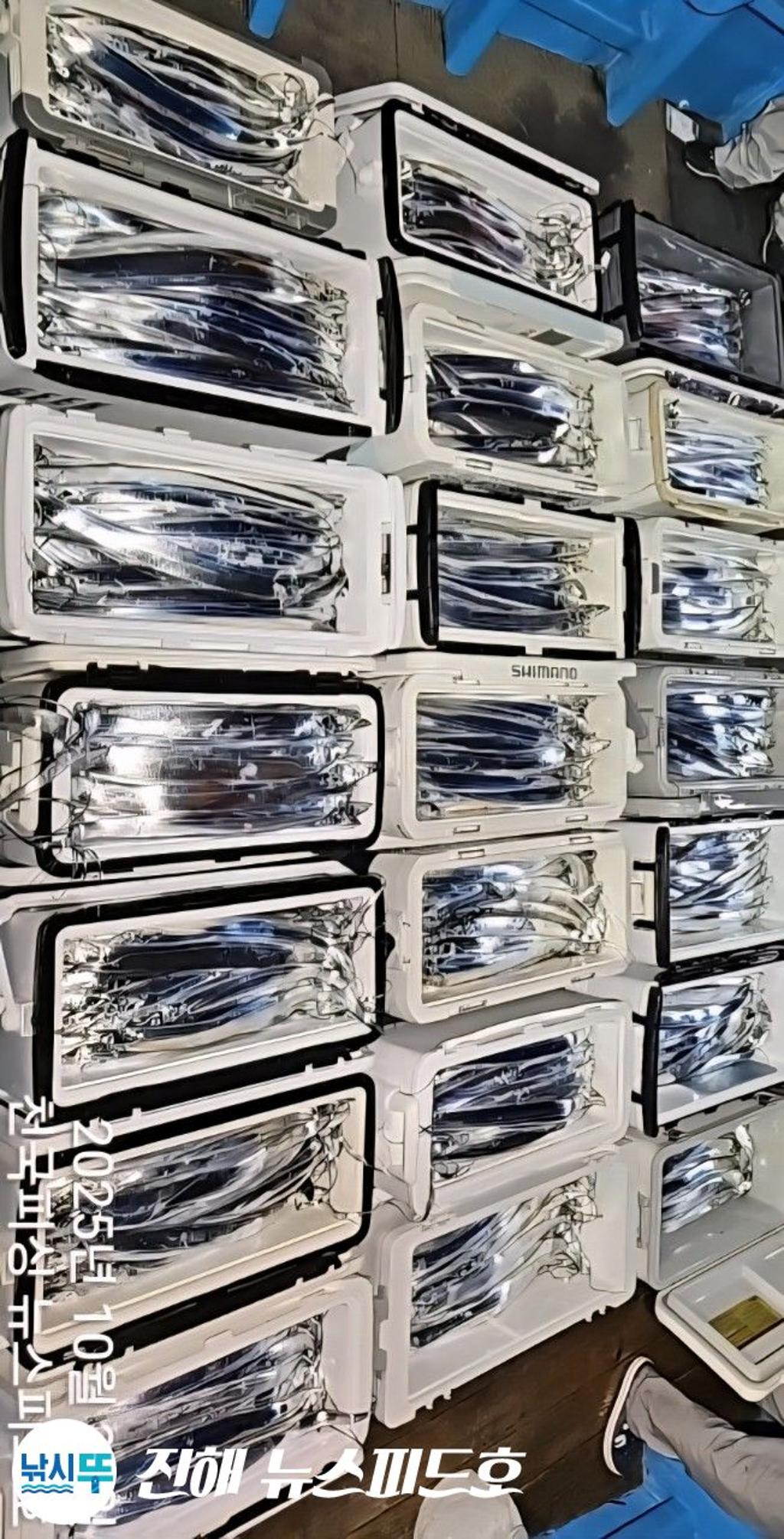 낚시뚜,갈치,진해행암항,진해 뉴스피드호,낚시뚜27