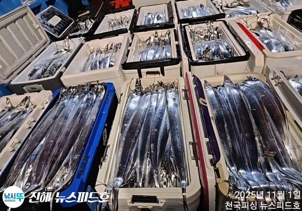 낚시뚜,갈치,진해행암항,진해 뉴스피드호,낚시뚜24