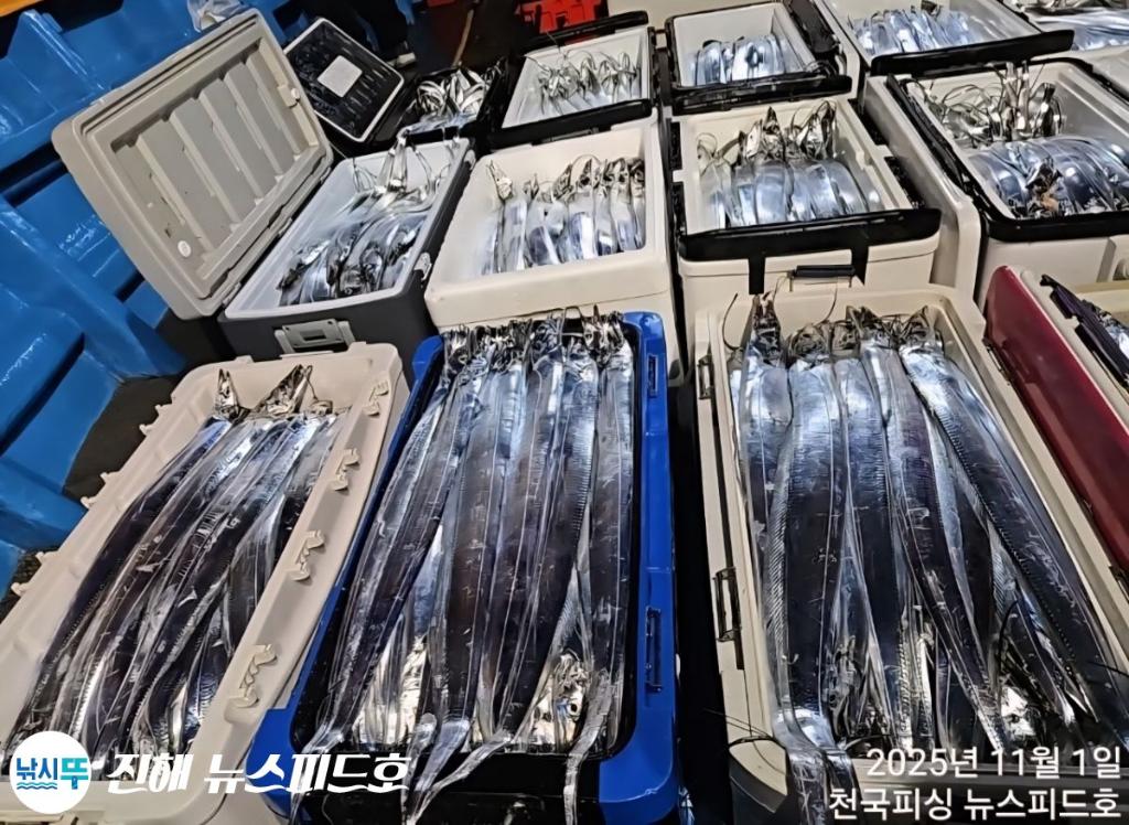 낚시뚜,갈치,진해행암항,진해 뉴스피드호,낚시뚜23