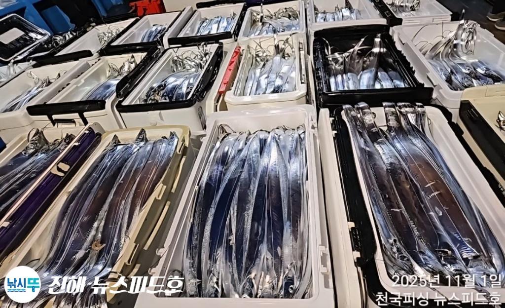 낚시뚜,갈치,진해행암항,진해 뉴스피드호,낚시뚜22