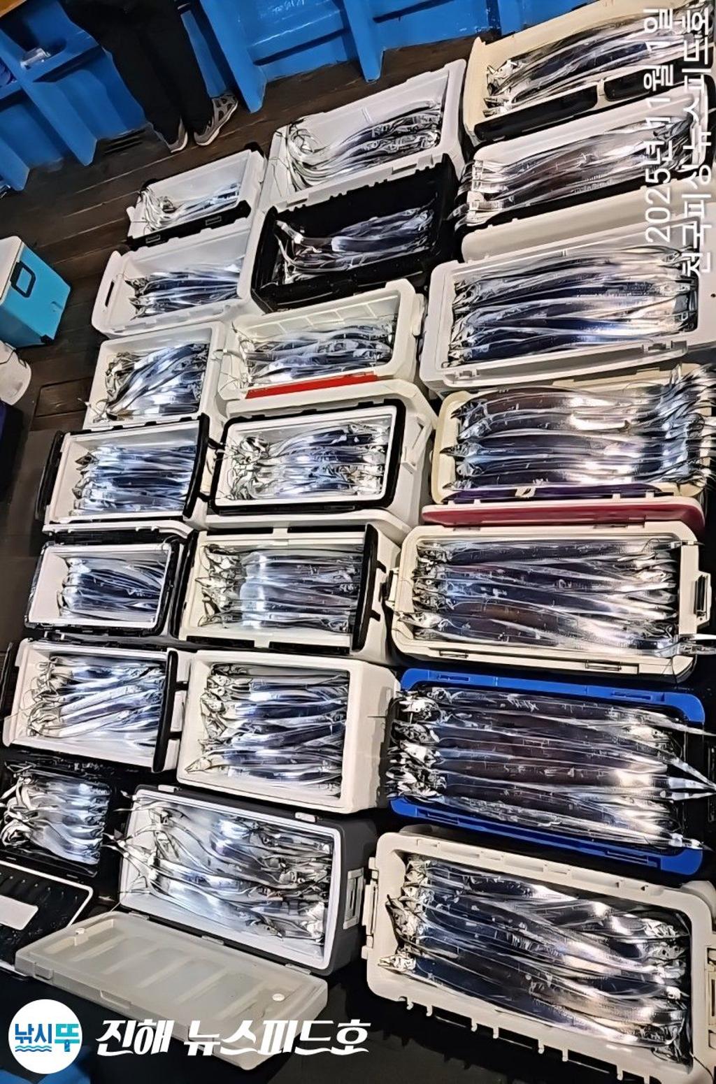 낚시뚜,갈치,진해행암항,진해 뉴스피드호,낚시뚜13