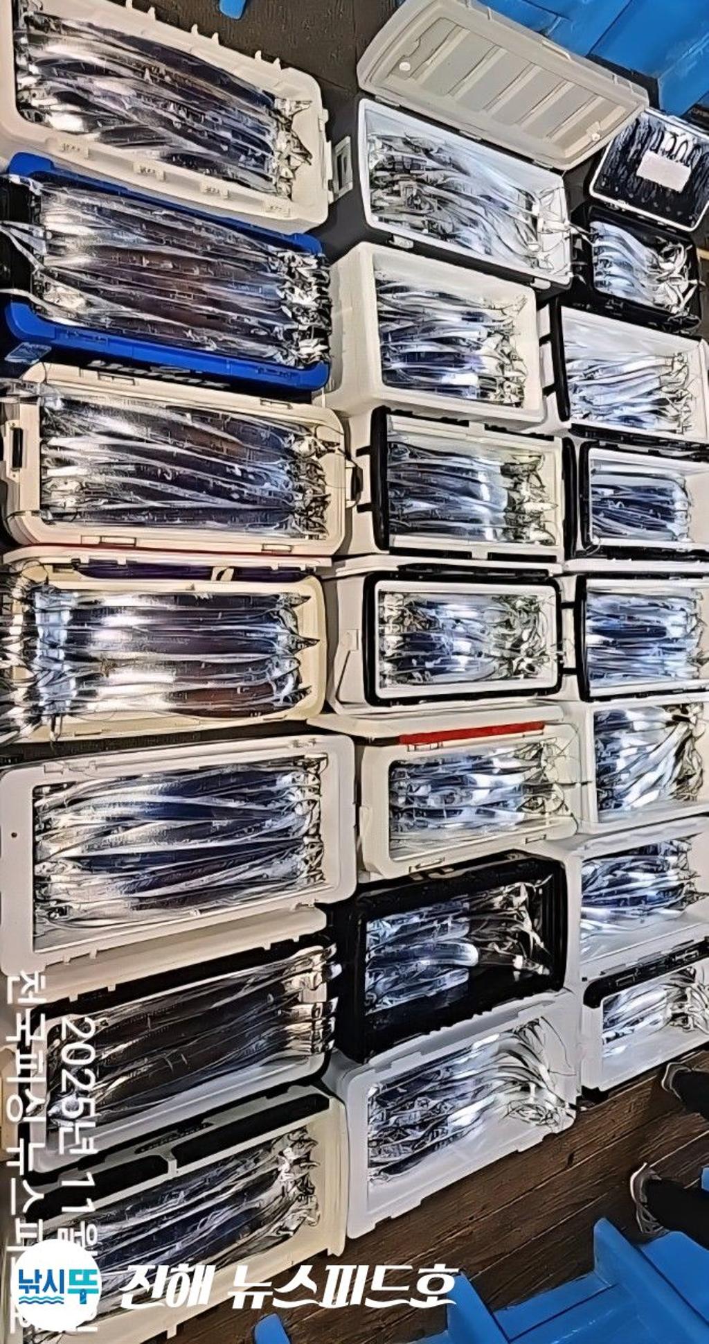 낚시뚜,갈치,진해행암항,진해 뉴스피드호,낚시뚜12