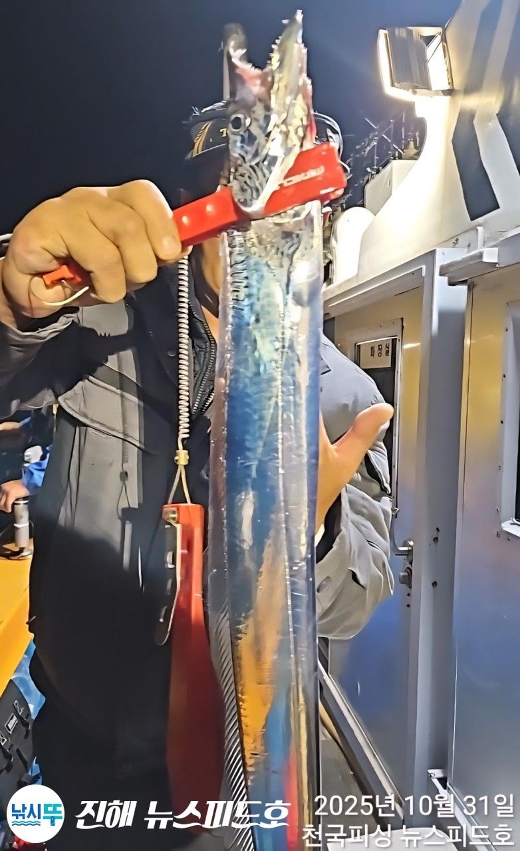 낚시뚜,갈치,진해행암항,진해 뉴스피드호,낚시뚜9