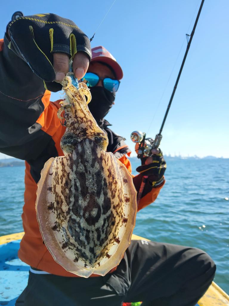 낚시뚜,갑오징어,오천항,푸르러호(뉴해양호),낚시뚜4