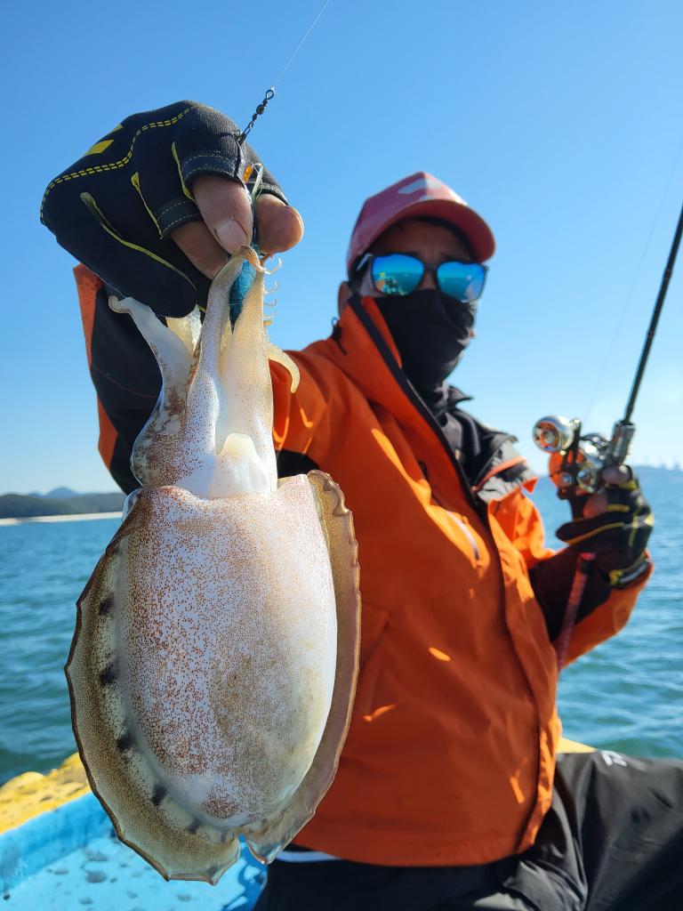 낚시뚜,갑오징어,오천항,푸르러호(뉴해양호),낚시뚜5