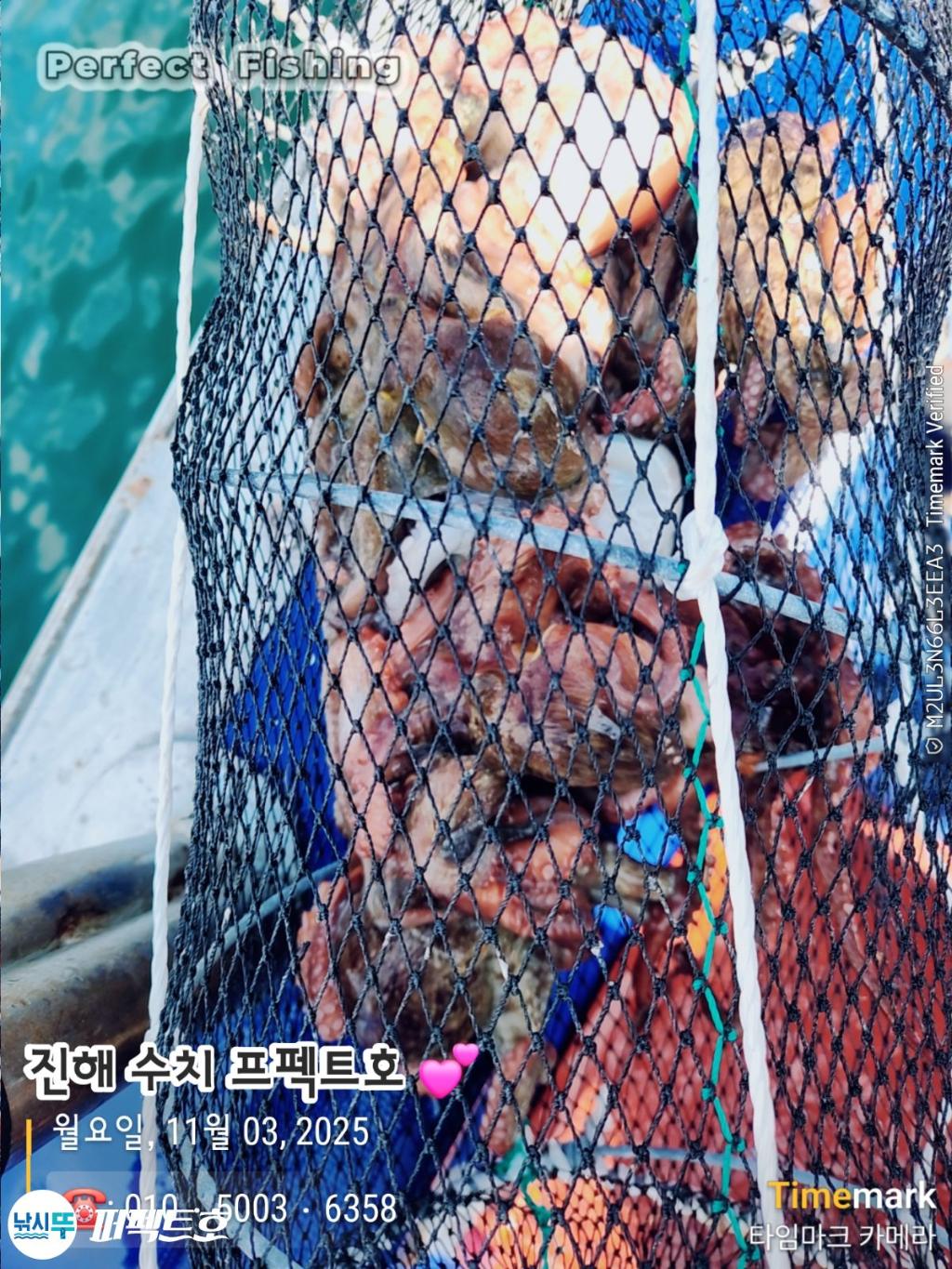 낚시뚜,돌문어,진해 수치마을 방파제,퍼펙트호,낚시뚜19