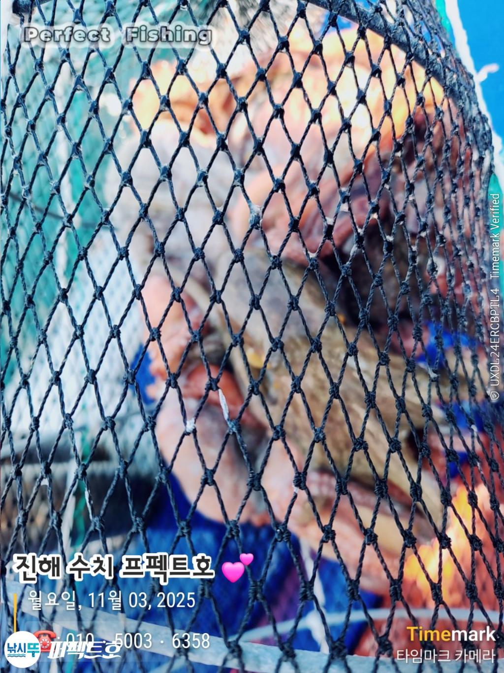 낚시뚜,돌문어,진해 수치마을 방파제,퍼펙트호,낚시뚜17