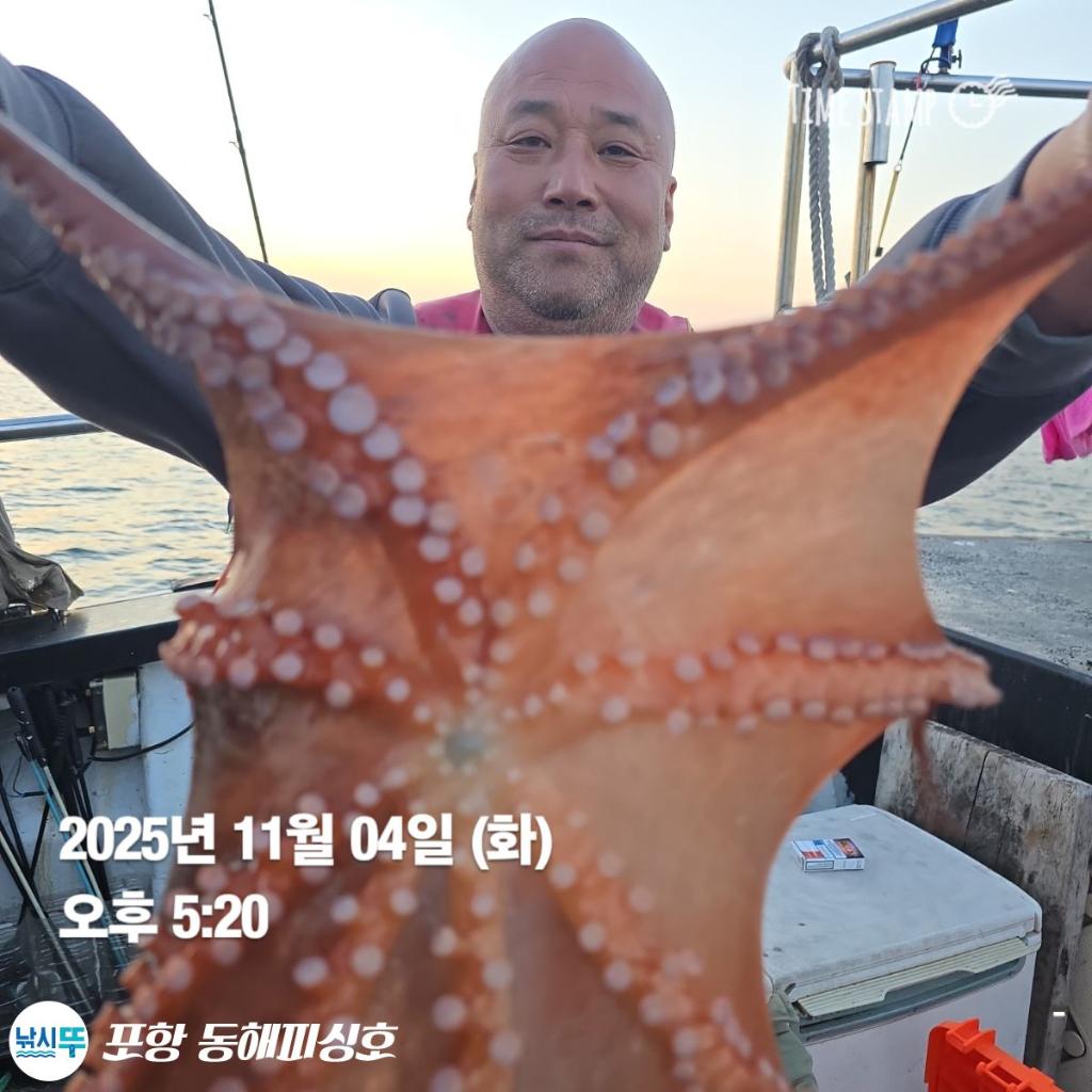 낚시뚜,돌문어,포항(운하관),포항 동해피싱호,낚시뚜5