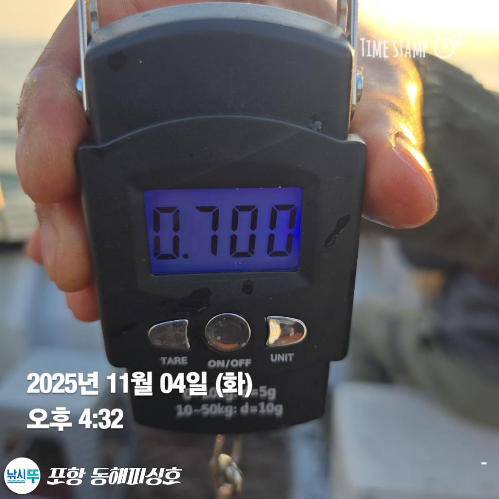 낚시뚜,돌문어,포항(운하관),포항 동해피싱호,낚시뚜4