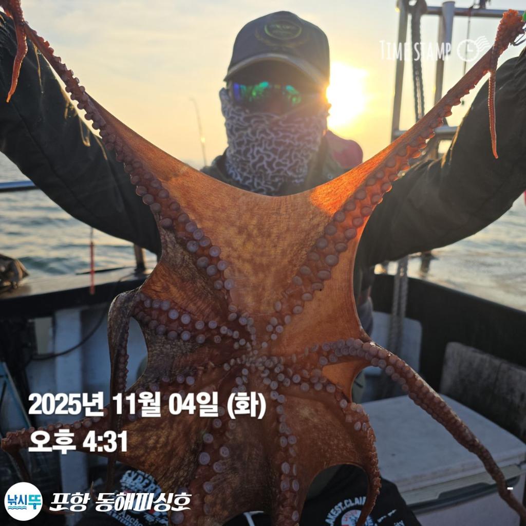 낚시뚜,돌문어,포항(운하관),포항 동해피싱호,낚시뚜3