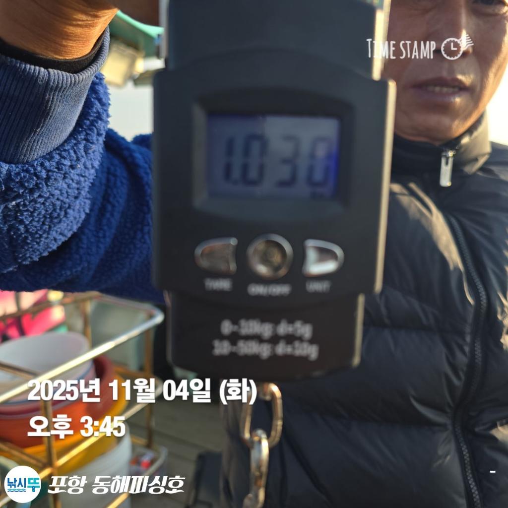 낚시뚜,돌문어,포항(운하관),포항 동해피싱호,낚시뚜1