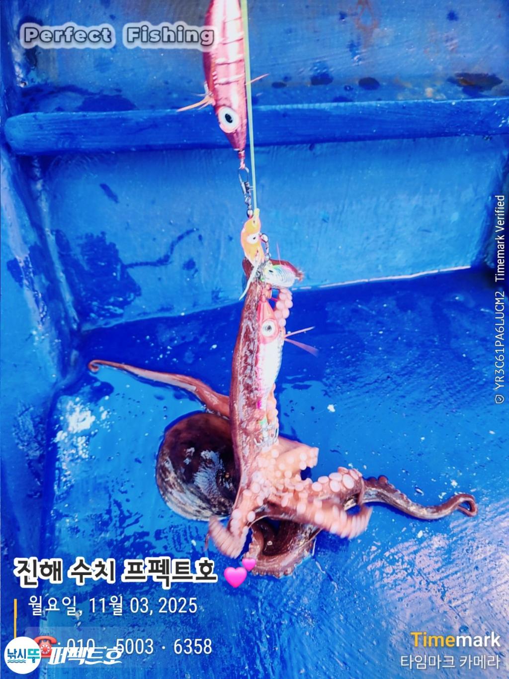 낚시뚜,돌문어,진해 수치마을 방파제,퍼펙트호,낚시뚜0