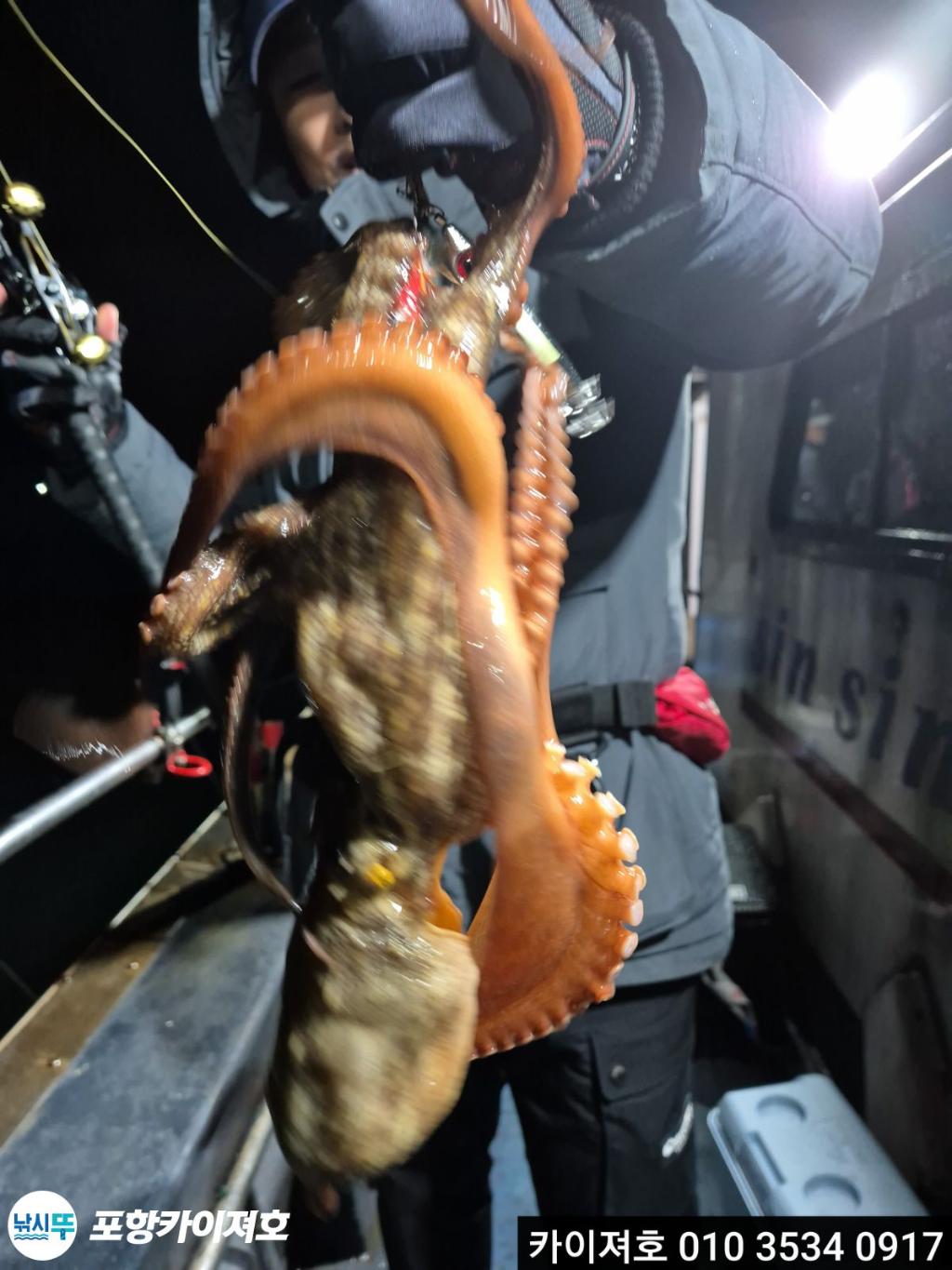 낚시뚜,기타 (직접입력),영일만항,포항카이져호,낚시뚜5