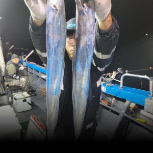 조황, 녹동금강호16석 쿨러가득 담아감니다 씨알좋은갈치많이나왔내요기상좋으면소수인원도매일출항합니다 