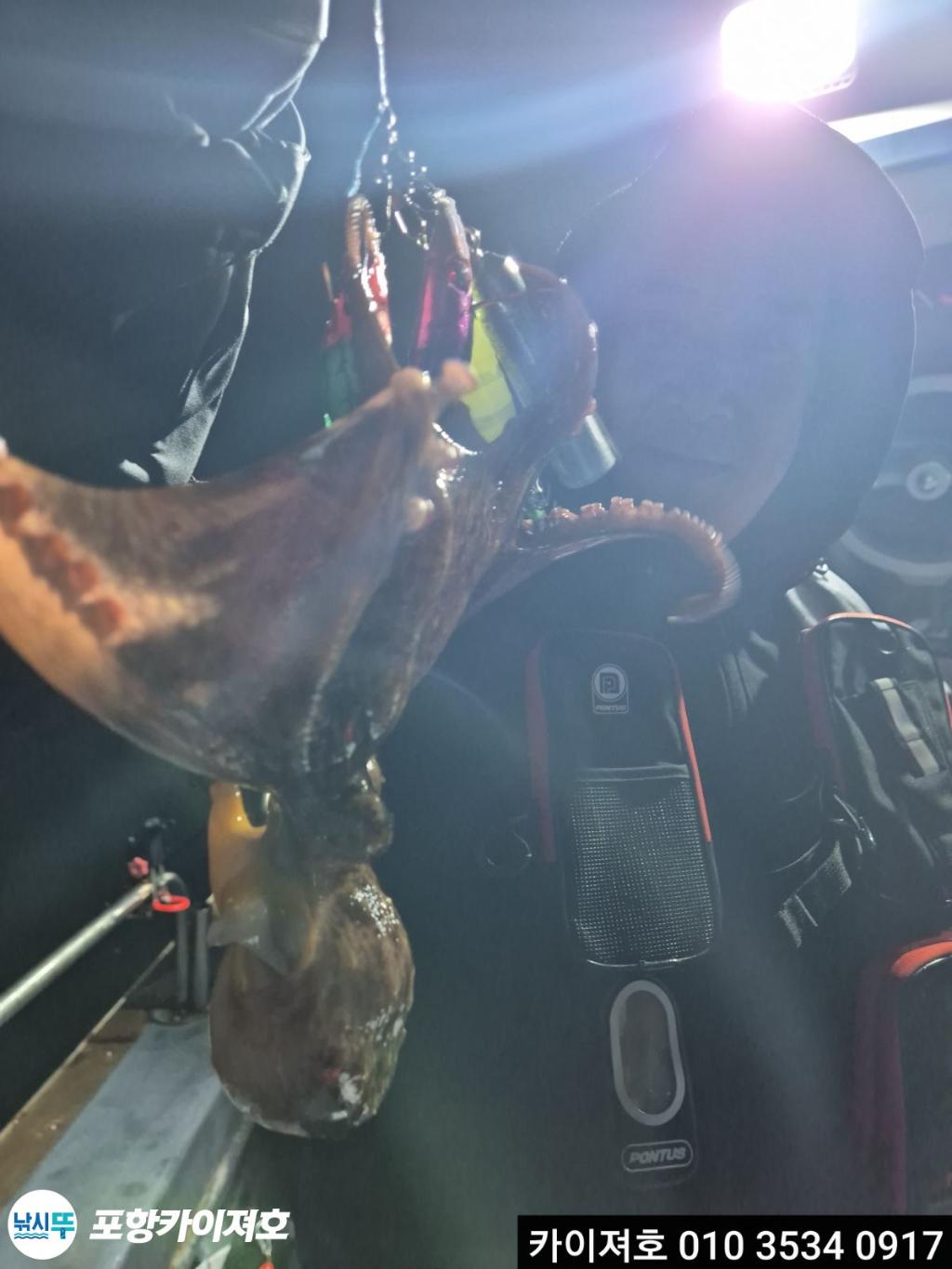 낚시뚜,기타 (직접입력),영일만항,포항카이져호,낚시뚜27