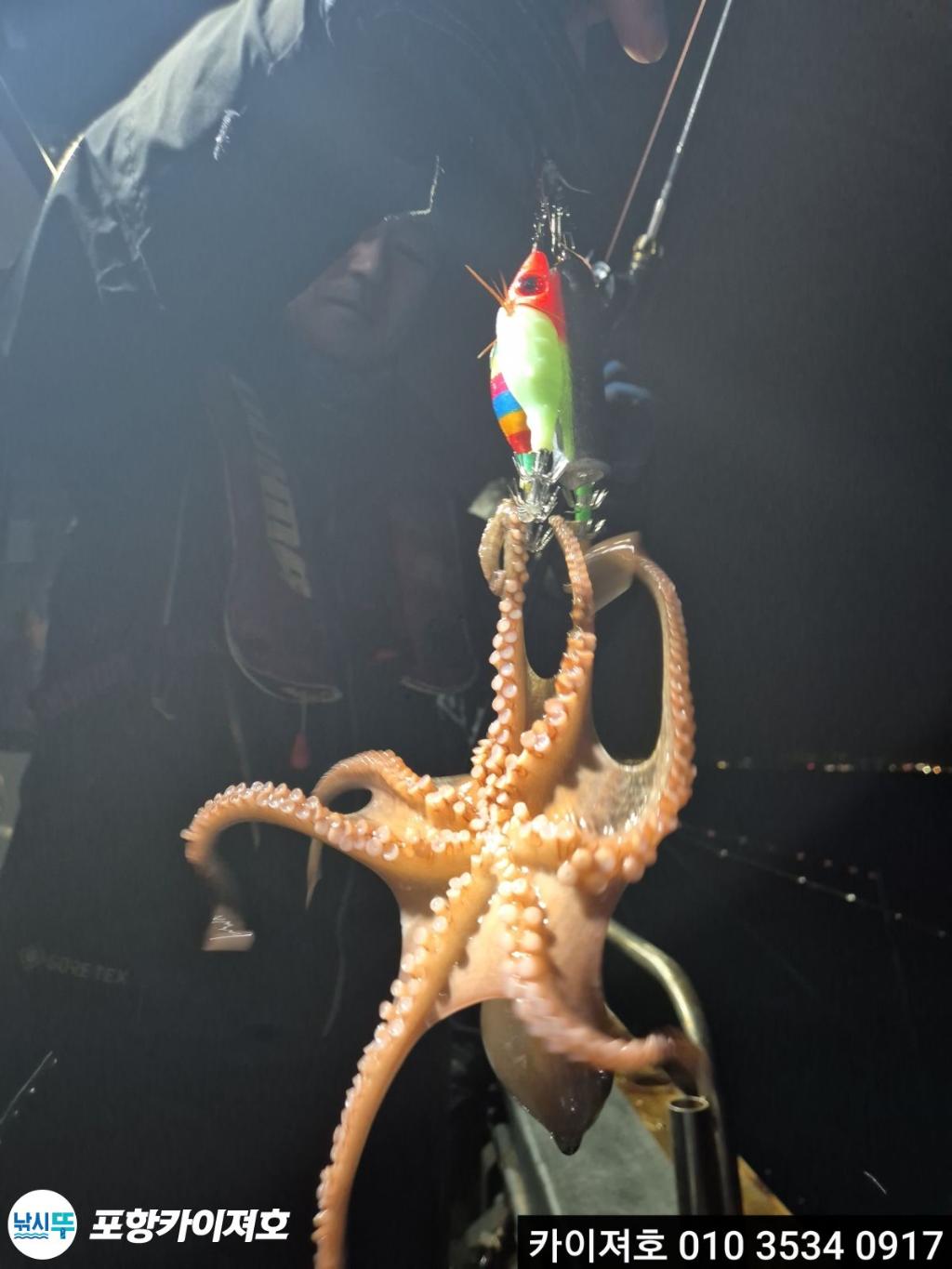 낚시뚜,기타 (직접입력),영일만항,포항카이져호,낚시뚜24