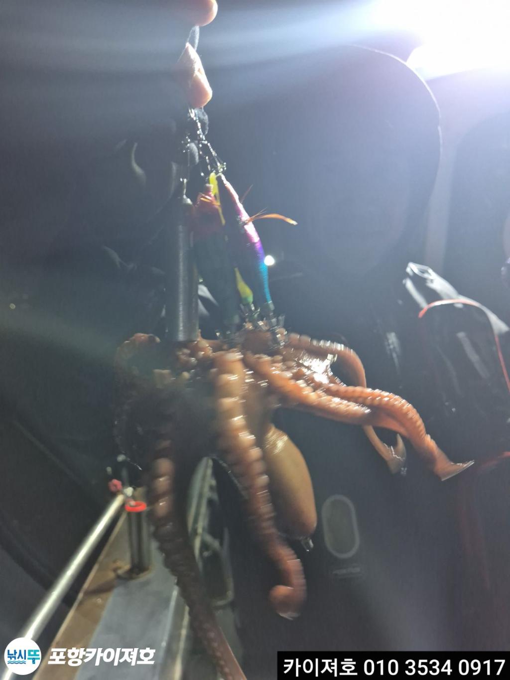 낚시뚜,기타 (직접입력),영일만항,포항카이져호,낚시뚜14