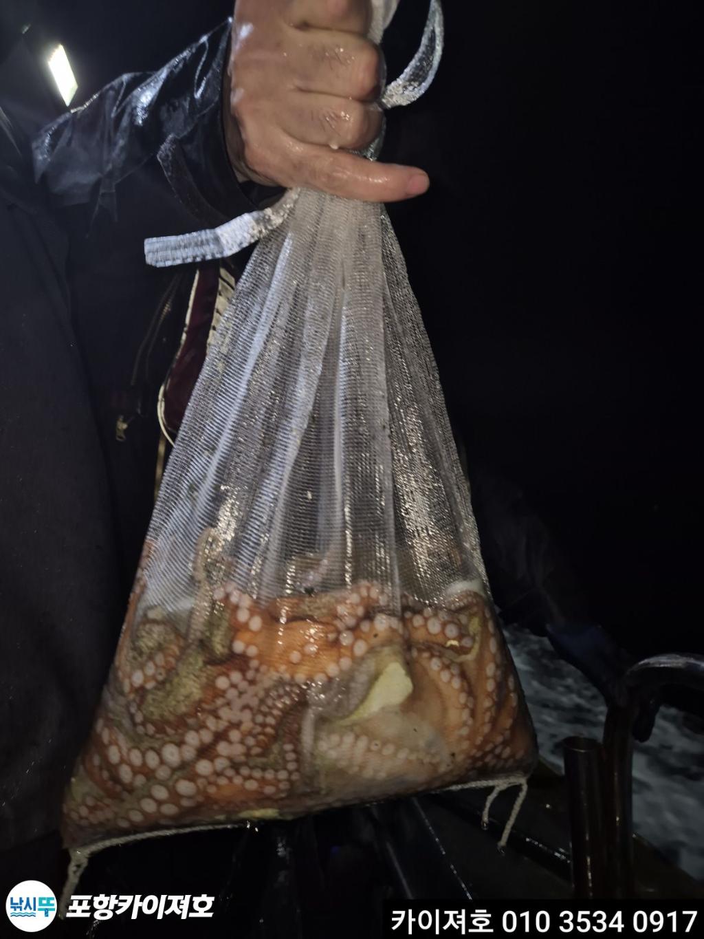 낚시뚜,기타 (직접입력),영일만항,포항카이져호,낚시뚜1