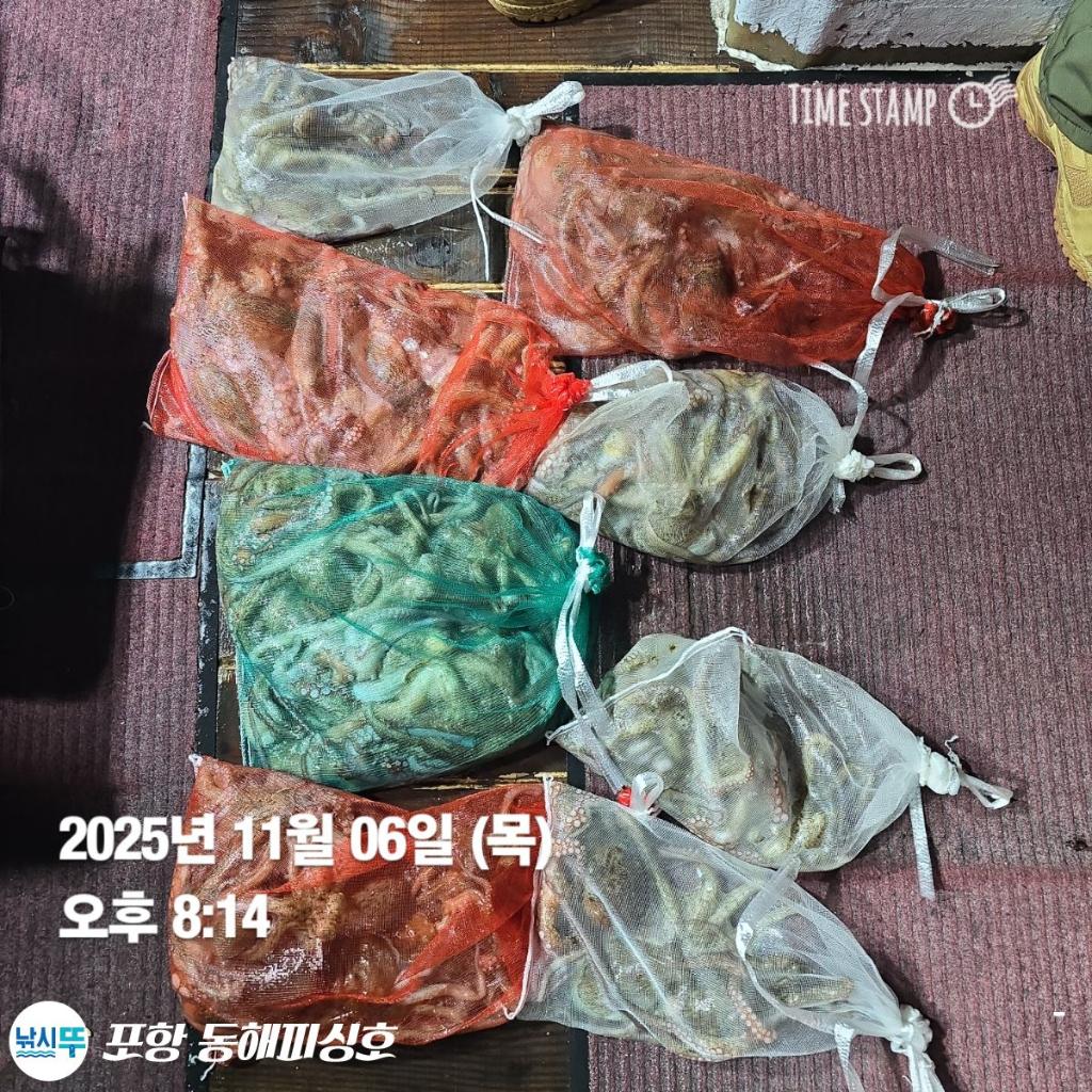 낚시뚜,돌문어,포항(운하관),포항 동해피싱호,낚시뚜11