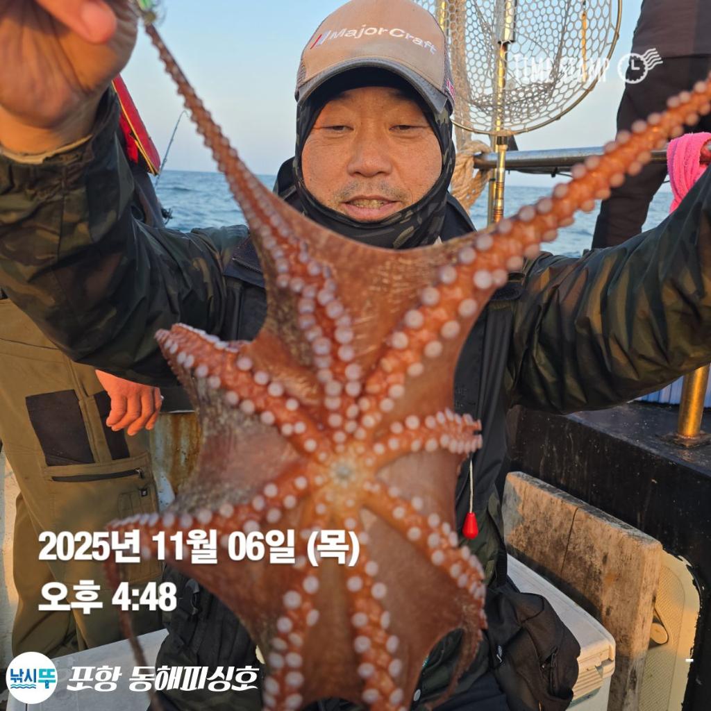 낚시뚜,돌문어,포항(운하관),포항 동해피싱호,낚시뚜9